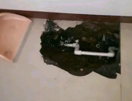 贺兰卫生间测漏水多少钱